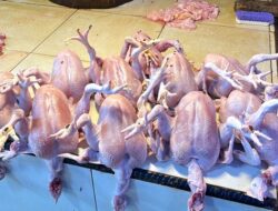 Update Harga Daging Sapi dan Ayam Potong di Tiga Pasar Kendari Jelang Natal dan Tahun Baru