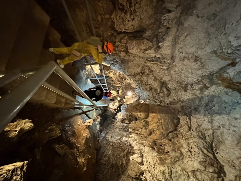 Jelajahi Gua Laumehe: Stalaktit Megah dan Kolam Eksotis di Perut Bumi Buton Tengah