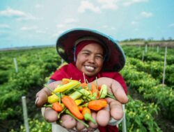 Peran Aktif BRI Dukung Ketahanan Pangan, Salurkan Kredit Senilai Rp199,83 Triliun di Sektor Pertanian
