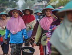 Lewat Pembiayaan dan Pemberdayaan, BRI Sukseskan Program Makan Bergizi Gratis