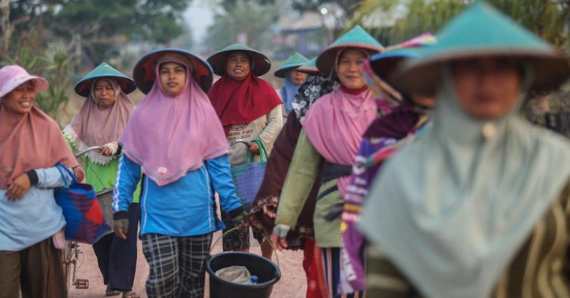 Lewat Pembiayaan dan Pemberdayaan, BRI Sukseskan Program Makan Bergizi Gratis 1 Lewat Pembiayaan dan Pemberdayaan, BRI Sukseskan Program Makan Bergizi Gratis