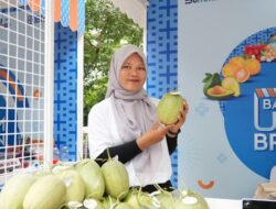 BRI Dukung Transformasi Pertanian Modern di Desa Bansari, Tingkatkan Produktivitas dan Kesejahteraan di Pedesaan