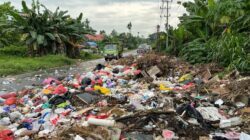 Sampah Menumpuk dan Menimbulkan Bau Busuk, Warga Tobuha Protes dengan Blokade Jalan 8 Sampah Menumpuk dan Menimbulkan Bau Busuk, Warga Tobuha Protes dengan Blokade Jalan