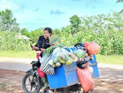 Upaya Tak Kenal Lelah BRI Berdayakan Kelompok Usaha Tanah Miring Merauke