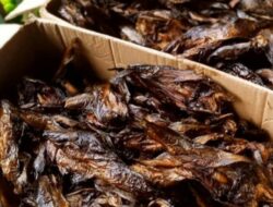 Model dan Strategi Pengembangan Usaha Pengasapan Ikan Tembang Dalam Meningkatkan Keberdayaan Masyarakat