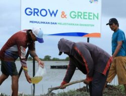 BRI Menanam – Grow & Green, Upaya Nyata BRI Bantu Pulihkan Ekosistem Lingkungan dan Dorong Pemberdayaan Ekonomi Masyarakat