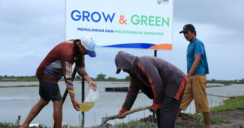 BRI Menanam - Grow & Green, Upaya Nyata BRI Bantu Pulihkan Ekosistem Lingkungan dan Dorong Pemberdayaan Ekonomi Masyarakat