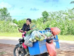 Kisah Petani di Merauke yang Produktivitasnya Semakin Meningkat Berkat Program Pemberdayaan Klaster Usaha dari BRI