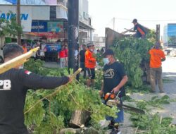 Pj Wali Kota Kendari Tinjau Pembersihan Pohon di Wuawua