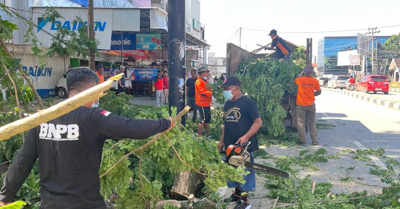 Pj Wali Kota Kendari Tinjau Pembersihan Pohon di Wuawua 1 Pj Wali Kota Kendari Tinjau Pembersihan Pohon di Wuawua