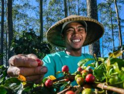 Terdepan dalam Praktik Sustainable Finance, BRI Menjadi Satu-satunya BUMN Penerbit Obligasi Hijau pada 2024