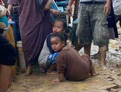 Alih Fungsi Lahan Diduga Jadi Penyebab Banjir Lumpur di Kendari