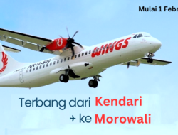 Wings Air Resmi Buka Rute Kendari-Morowali Mulai 1 Februari 2025