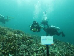 BRI Menanam – Grow & Green Bangun Kesadaran Jaga Kelestarian Terumbu Karang dan Tingkatkan Pendapatan Nelayan