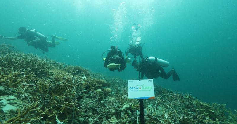 BRI Menanam - Grow & Green Bangun Kesadaran Jaga Kelestarian Terumbu Karang dan Tingkatkan Pendapatan Nelayan 1 BRI Menanam - Grow & Green Bangun Kesadaran Jaga Kelestarian Terumbu Karang dan Tingkatkan Pendapatan Nelayan