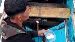 Dua Hari Terombang-ambing di Laut, Nelayan Kolut Ditemukan Selamat di Luwu 6 Dua Hari Terombang-ambing di Laut, Nelayan Kolut Ditemukan Selamat di Luwu