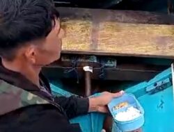 Dua Hari Terombang-ambing di Laut, Nelayan Kolut Ditemukan Selamat di Luwu