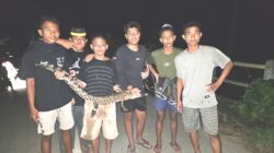 Teror Buaya di Muna Barat! Warga Tangkap Anak Buaya, Induknya Masih Berkeliaran 6 Teror Buaya di Muna Barat! Warga Tangkap Anak Buaya, Induknya Masih Berkeliaran