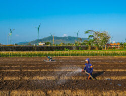 BRI Salurkan KUR Rp27,72 Triliun dalam 2 Bulan, Bukti Keberpihakan Nyata untuk UMKM dan Ekonomi Rakyat
