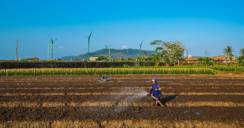 BRI Salurkan KUR Rp27,72 Triliun dalam 2 Bulan, Bukti Keberpihakan Nyata untuk UMKM dan Ekonomi Rakyat 1 BRI Salurkan KUR Rp27,72 Triliun dalam 2 Bulan, Bukti Keberpihakan Nyata untuk UMKM dan Ekonomi Rakyat