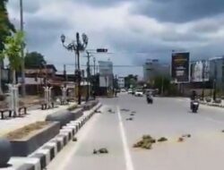 Satpol PP Sebut Pelaku Pencabutan Tanaman Hias di Wilayah Pedestrian Eks MTQ Kendari ODGJ