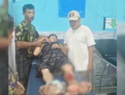 Buang Air Besar di Kali, Warga Mubar Digigit Buaya