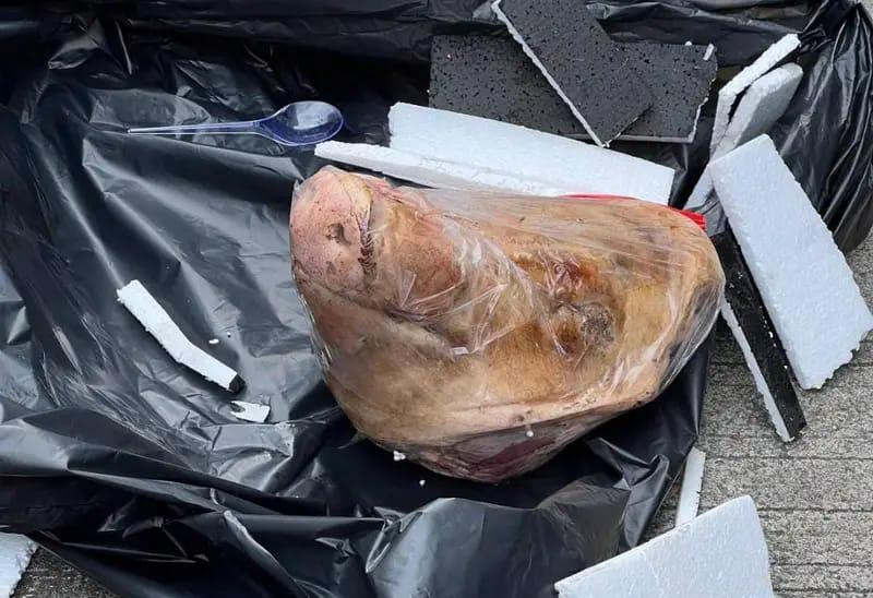 Tempo Dapat Kiriman Kepala Babi, Pemred: Bentuk Teror Kebebasan Pers 1 Tempo Dapat Kiriman Kepala Babi, Pemred: Bentuk Teror Kebebasan Pers