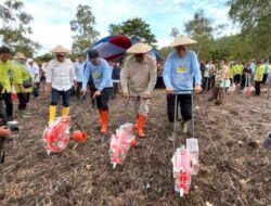 Dukung Ketahanan Pangan, Gubernur Sultra Laksanakan Penanaman Agroforestri yang Terpusat di Konawe