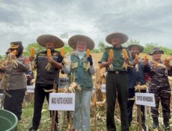 Dukung Ketahanan Pangan, Pemkot Kendari Target Tanam Jagung Seluas 446 Hektare