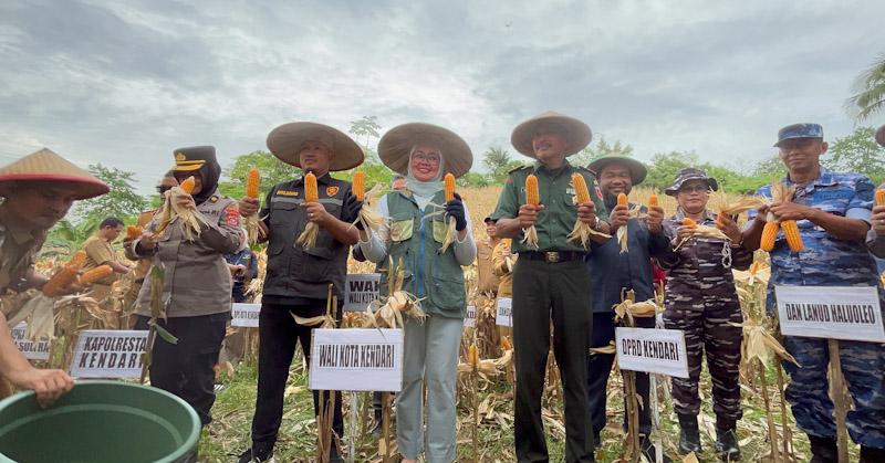 Dukung Ketahanan Pangan, Pemkot Kendari Target Tanam Jagung Seluas 446 Hektare 1 Dukung Ketahanan Pangan, Pemkot Kendari Target Tanam Jagung Seluas 446 Hektare