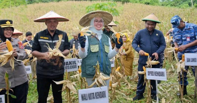 Lakukan Panen, Ketua DPRD Kendari Apresiasi Petani Jagung di Lalodati