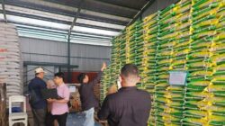 Jelang Lebaran, Bulog Raha Pastikan Stok Bahan Pangan di Tiga Kabupaten Aman 4 Jelang Lebaran, Bulog Raha Pastikan Stok Bahan Pangan di Tiga Kabupaten Aman