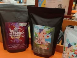 Serius Pangan Nusantara, UMKM Kopi yang Bertumbuh hingga Go Global Berkat Pemberdayaan BRI