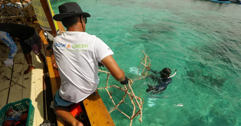 BRI Menanam “Grow & Green” Transplantasi Terumbu Karang, Jadi Ujung Tombak Pelestarian Ekosistem Laut di NTB
