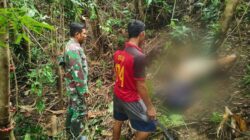 Guru ASN di Buton Utara Ditemukan Meninggal setelah Hilang Lima Hari 14 Guru ASN di Buton Utara Ditemukan Meninggal setelah Hilang Lima Hari