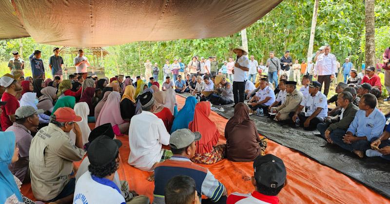 Dukung Petani, Pemkab Mubar Siapkan Bibit Jagung hingga Pastikan Harga Jual Rp5.500 per Kg 1 Dukung Petani, Pemkab Mubar Siapkan Bibit Jagung hingga Pastikan Harga Jual Rp5.500 per Kg