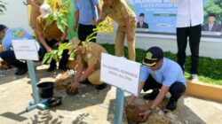 Wagub Sultra Ikut Sukseskan Program Kemenag Penanaman Sejuta Pohon Matoa 12 Wagub Sultra Ikut Sukseskan Program Kemenag Penanaman Sejuta Pohon Matoa
