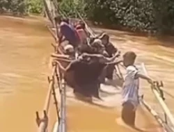 Jembatan Tunggal Diterjang Banjir, 105 KK Warga Konawe Utara Terisolasi dan Butuh Bantuan