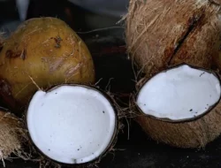 Krisis Kelapa di Kendari, Pedagang Tak Punya Stok, Pembeli Pulang Kecewa