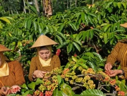 Berdayakan 14,4 Juta Pengusaha Wanita, Holding Ultra Mikro BRI Tegaskan Komitmen Ciptakan Ekonomi Inklusif dan Kesetaraan Gender di Hari Kartini