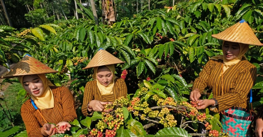 Berdayakan 14,4 Juta Pengusaha Wanita, Holding Ultra Mikro BRI Tegaskan Komitmen Ciptakan Ekonomi Inklusif dan Kesetaraan Gender di Hari Kartini 1 Berdayakan 14,4 Juta Pengusaha Wanita, Holding Ultra Mikro BRI Tegaskan Komitmen Ciptakan Ekonomi Inklusif dan Kesetaraan Gender di Hari Kartini