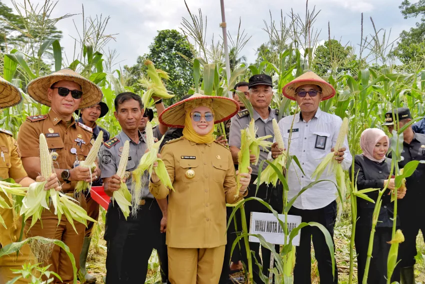 Pemkot Kendari Dukung Ketahanan Pangan Lewat Program Penanaman di Lapas 5 Pemkot Kendari Dukung Ketahanan Pangan Lewat Program Penanaman di Lapas