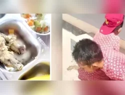 Siswa SD di Bombana Muntah dan Nangis Usai Santap Makan Bergizi Gratis