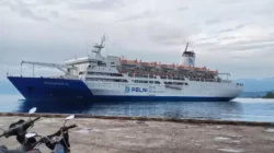 Jadwal Terbaru KM Dobonsolo: Baubau–Jayapura hingga Baubau–Tanjung Priok 4 KM Dobonsolo