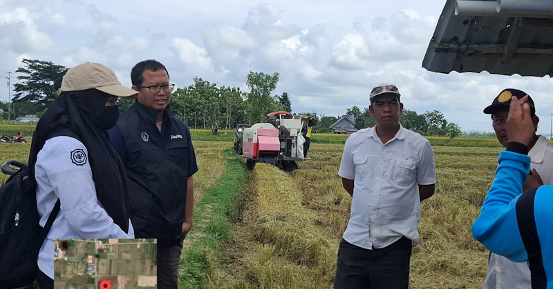 Bulog Bombana Serap 25 Ribu Ton Gabah, Terbesar di Sultra