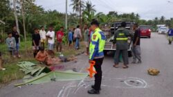 Dua Warga Tewas Usai Motor Tabrak Mobil Boks di Jalur Lombe–Raha 18 Dua Warga Muna Tewas Usai Motor Tabrak Mobil Boks di Jalur Lombe–Raha