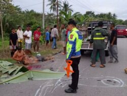 Dua Warga Tewas Usai Motor Tabrak Mobil Boks di Jalur Lombe–Raha