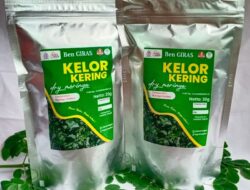 Manfaatkan KUR BRI, Pengusaha Wanita Ini Berhasil Sulap Kelor Jadi Aneka Olahan Pangan yang Digemari