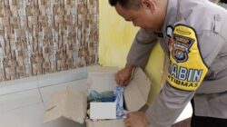 Janin Terikat Tali Rafia Ditemukan Warga di Konsel, Teras Masjid Jadi Saksi Bisu