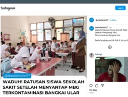 Cek Fakta: Ratusan Siswa Sekolah Sakit Setelah Menyantap MBG Terkontaminasi Bangkai Ular [SALAH]